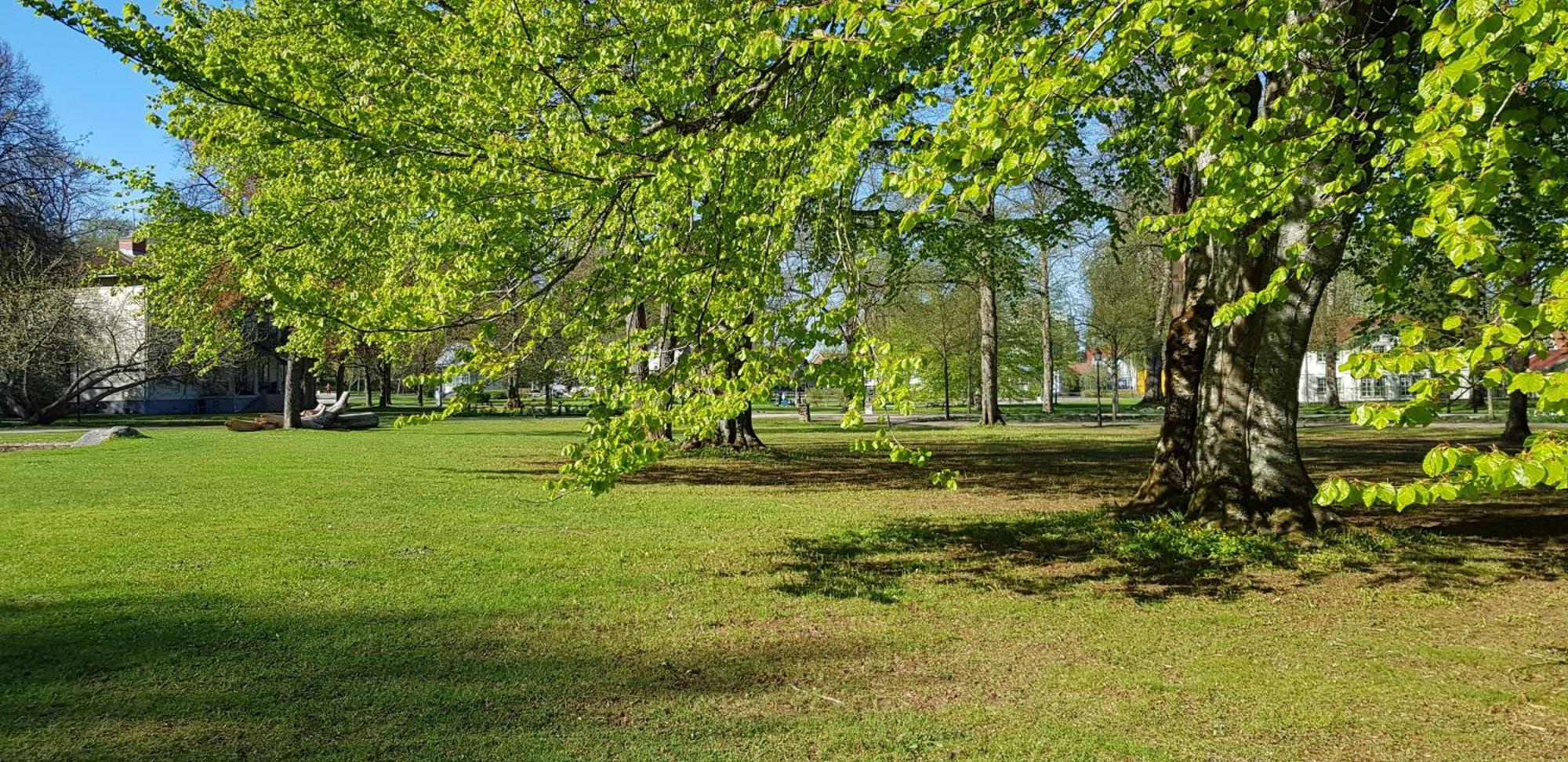Moessebergs Vandrarhem Falköping Dış mekan fotoğraf